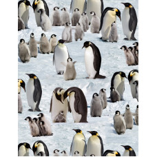 Emperor Penguins ES490